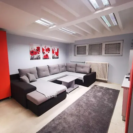 Tara * 베오그라드